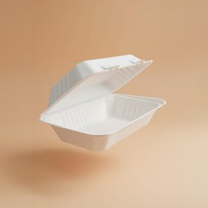 Clamshell Chico