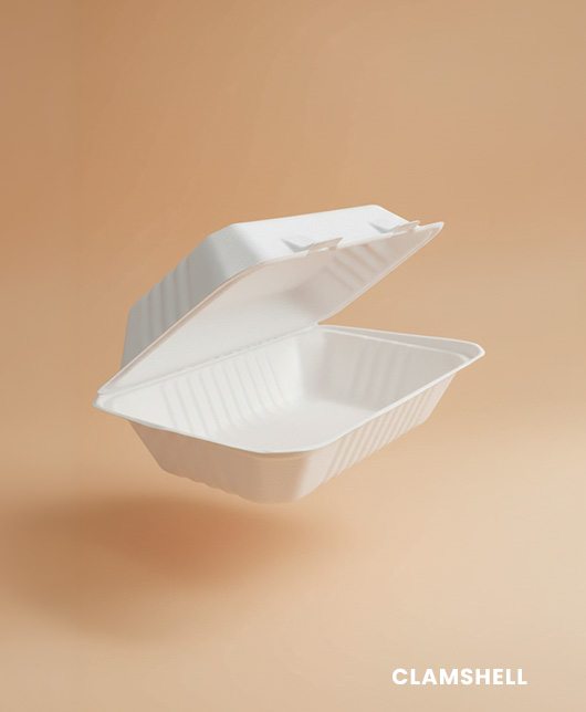Clamshell Mediano