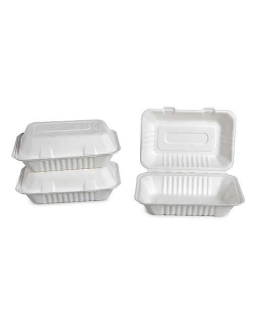 Clamshell Mediano